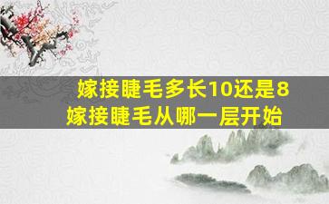 嫁接睫毛多长10还是8 嫁接睫毛从哪一层开始